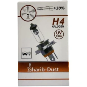 لامپ H4 غریب دوست ۵۵ وات